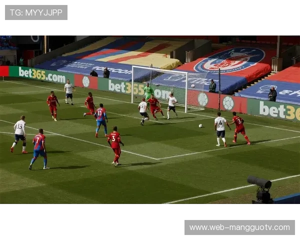 布莱顿传控战术客场考验水晶宫防线 布莱顿传控战术客场考验水晶宫防线