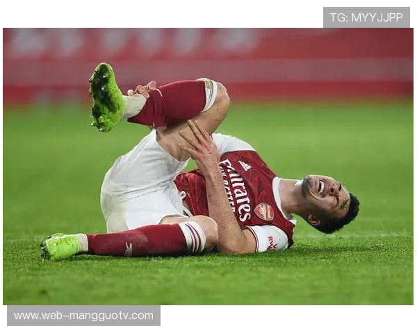 埃布努塔利布受伤离场，法兰克福球迷掌声致敬