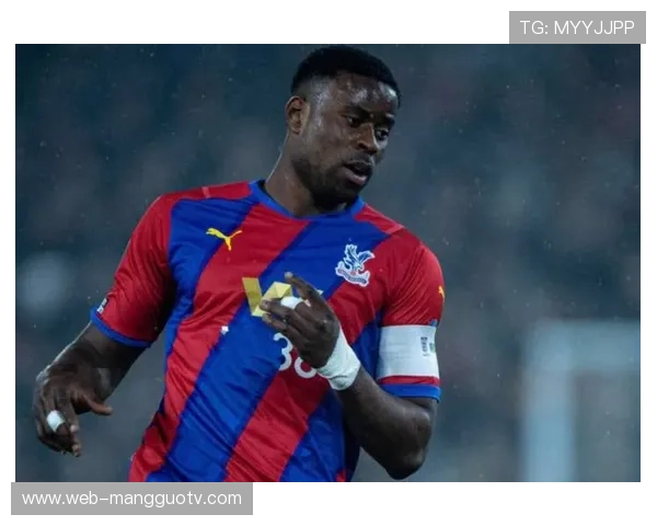 水晶宫0-0桑德兰，格伊缺阵影响防线稳定性