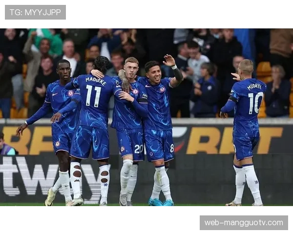 布莱顿与切尔西转会关系分析：蓝军从海鸥军团引援花费2.9亿欧